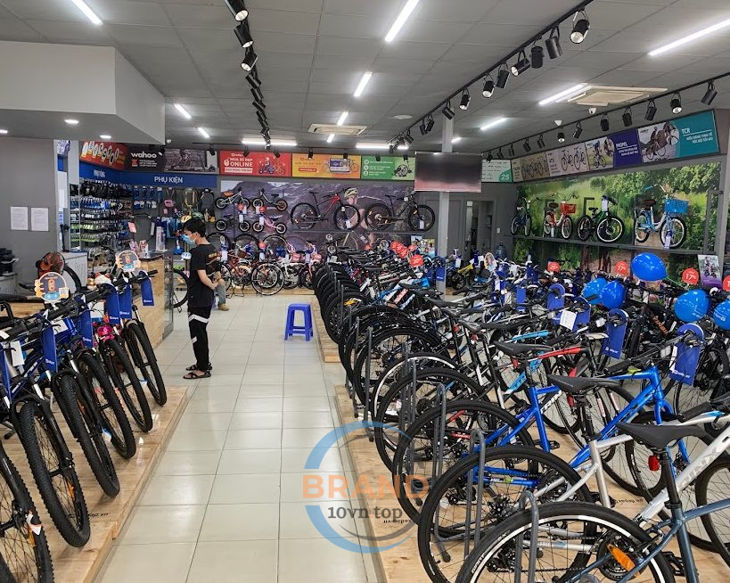 Hệ thống cửa hàng xe đạp xe điện Xedap.vn - Chi nhánh 122 Tên Lửa, Bình Tân