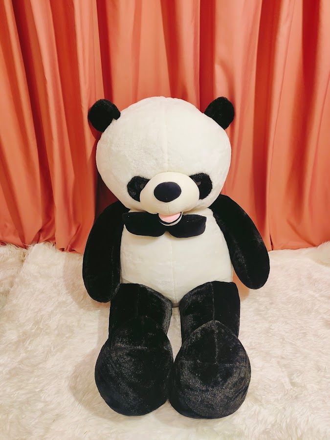 Shop Gấu Bông Gấu Teddy - GauTeddy.vn