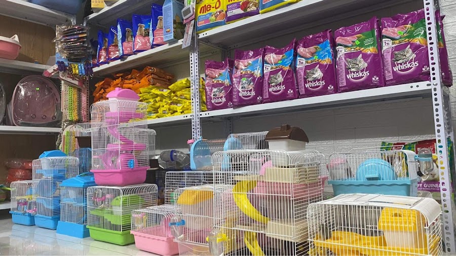 Dora Pet - Shop thú cưng Đà Nẵng