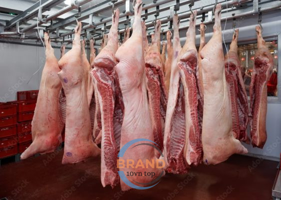 Top 13 Cửa hàng Thịt lợn sạch tại Bình Dương: Bảo sức khỏe người tiêu dùng