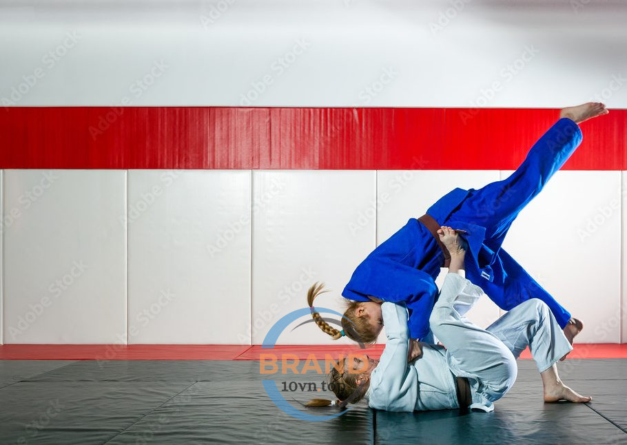 Top 5 Trung Tâm Dạy Võ Judo Tại Hà Nội - Nổi Tiếng và Chất Lượng Nhất