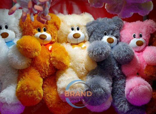 Top 9 Cửa hàng bán gấu bông Bình Dương - Món quà yêu thương đáng yêu nhất!
