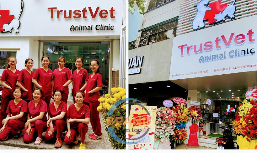 TrustVet Animal Clinic/ Phòng Khám Thú Y TrustVet