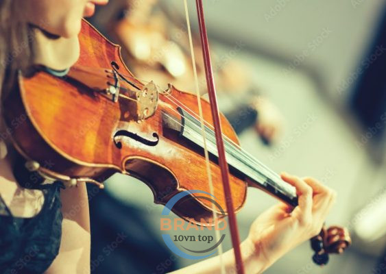 Top 3 Trung Tâm Dạy Đàn Violin Tại TP. Hồ Chí Minh - Thỏa Mãn Đam Mê Âm Nhạc